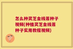 怎么种灵芝金线莲种子视频(种植灵芝金线莲种子实用教程视频)