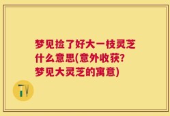 梦见捡了好大一枝灵芝什么意思(意外收获？梦见大灵芝的寓意)