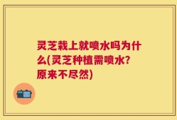 灵芝栽上就喷水吗为什么(灵芝种植需喷水？原来不尽然)