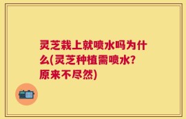 灵芝栽上就喷水吗为什么(灵芝种植需喷水？原来不尽然)