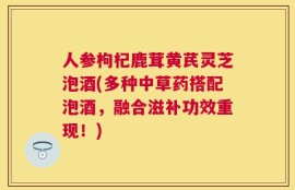 人参枸杞鹿茸黄芪灵芝泡酒(多种中草药搭配泡酒，融合滋补功效重现！)