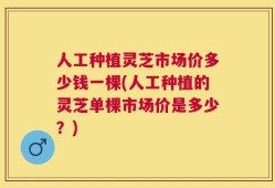 人工种植灵芝市场价多少钱一棵(人工种植的灵芝单棵市场价是多少？)