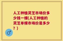 人工种植灵芝市场价多少钱一棵(人工种植的灵芝单棵市场价是多少？)