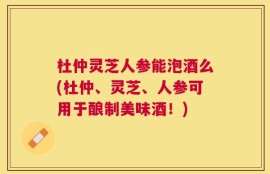 杜仲灵芝人参能泡酒么(杜仲、灵芝、人参可用于酿制美味酒！)