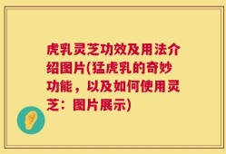 虎乳灵芝功效及用法介绍图片(猛虎乳的奇妙功能，以及如何使用灵芝：图片展示)