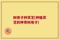 树墩子种灵芝(种植灵芝的神奇树墩子)