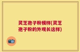 灵芝孢子粉模样(灵芝孢子粉的外观长这样)
