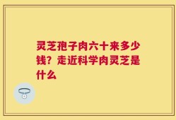 灵芝孢子肉六十来多少钱？走近科学肉灵芝是什么