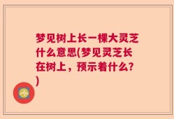 梦见树上长一棵大灵芝什么意思(梦见灵芝长在树上，预示着什么？)