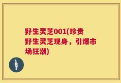 野生灵芝001(珍贵野生灵芝现身，引爆市场狂潮)