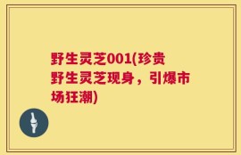 野生灵芝001(珍贵野生灵芝现身，引爆市场狂潮)