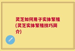 灵芝如何用子实体繁殖(灵芝实体繁殖技巧简介)