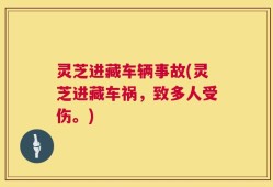 灵芝进藏车辆事故(灵芝进藏车祸，致多人受伤。)