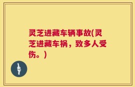 灵芝进藏车辆事故(灵芝进藏车祸，致多人受伤。)