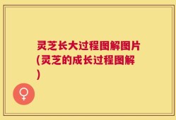 灵芝长大过程图解图片(灵芝的成长过程图解)