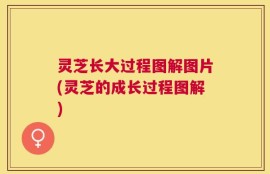 灵芝长大过程图解图片(灵芝的成长过程图解)