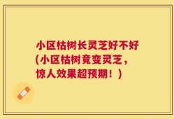 小区枯树长灵芝好不好(小区枯树竟变灵芝，惊人效果超预期！)