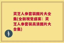 灵芝人参套装图片大全集(全新视觉盛宴：灵芝人参套装高清图片大合集)