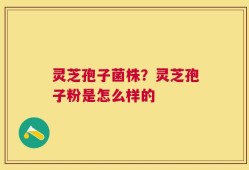 灵芝孢子菌株？灵芝孢子粉是怎么样的