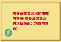 鸡骨草煮灵芝水的功效与禁忌(鸡骨草灵芝水的正反两面：功效与禁忌)