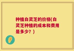 种植白灵芝的价格(白灵芝种植的成本和费用是多少？)