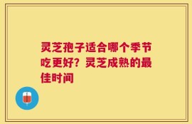 灵芝孢子适合哪个季节吃更好？灵芝成熟的最佳时间
