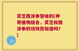 灵芝西洋参管啥的(神奇植物组合，灵芝和西洋参的功效你知道吗？)