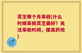 灵芝哪个月采收(什么时候采摘灵芝最好？关注采收时间，提高药效)