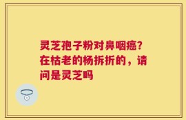 灵芝孢子粉对鼻咽癌？在枯老的杨拆折的，请问是灵芝吗