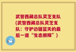 武警西藏总队灵芝支队(武警西藏总队灵芝支队：守护边疆蓝天的最后一道“生态屏障”)