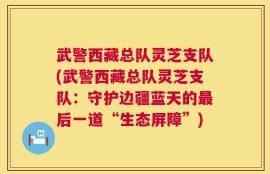 武警西藏总队灵芝支队(武警西藏总队灵芝支队：守护边疆蓝天的最后一道“生态屏障”)