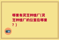 哪里有灵芝种植厂(灵芝种植厂的位置在哪里？)
