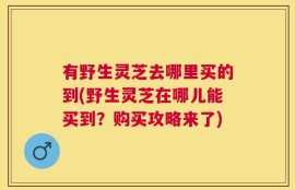 有野生灵芝去哪里买的到(野生灵芝在哪儿能买到？购买攻略来了)