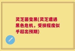灵芝菌变黑(灵芝遭遇黑色危机，受损程度似乎超出预期)