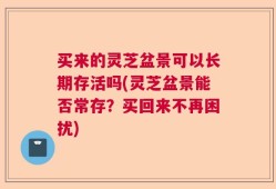 买来的灵芝盆景可以长期存活吗(灵芝盆景能否常存？买回来不再困扰)