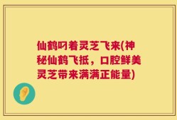 仙鹤叼着灵芝飞来(神秘仙鹤飞抵，口腔鲜美灵芝带来满满正能量)
