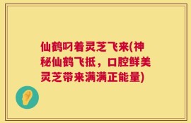 仙鹤叼着灵芝飞来(神秘仙鹤飞抵，口腔鲜美灵芝带来满满正能量)