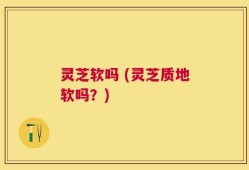 灵芝软吗 (灵芝质地软吗？)