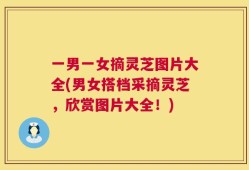 一男一女摘灵芝图片大全(男女搭档采摘灵芝，欣赏图片大全！)