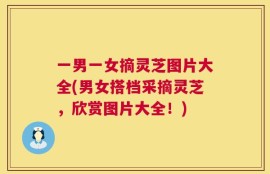 一男一女摘灵芝图片大全(男女搭档采摘灵芝，欣赏图片大全！)