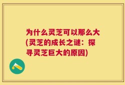 为什么灵芝可以那么大(灵芝的成长之谜：探寻灵芝巨大的原因)