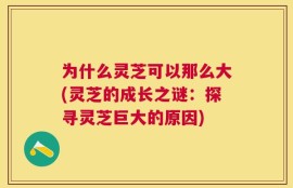 为什么灵芝可以那么大(灵芝的成长之谜：探寻灵芝巨大的原因)