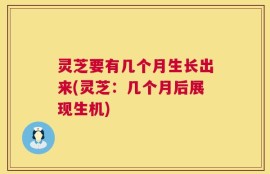 灵芝要有几个月生长出来(灵芝：几个月后展现生机)