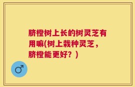 脐橙树上长的树灵芝有用嘛(树上栽种灵芝，脐橙能更好？)