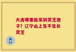 大连哪里能采到灵芝孢子？辽宁山上生不生长灵芝