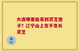 大连哪里能采到灵芝孢子？辽宁山上生不生长灵芝
