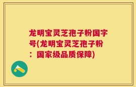 龙明宝灵芝孢子粉国字号(龙明宝灵芝孢子粉：国家级品质保障)