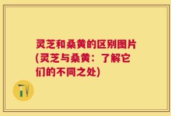 灵芝和桑黄的区别图片(灵芝与桑黄：了解它们的不同之处)