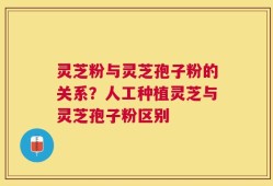 灵芝粉与灵芝孢子粉的关系？人工种植灵芝与灵芝孢子粉区别