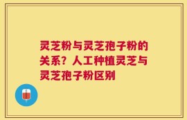 灵芝粉与灵芝孢子粉的关系？人工种植灵芝与灵芝孢子粉区别